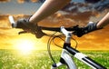 Hands in gloves holding handlebar of a bicycle Royalty Free Stock Photo