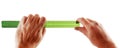 Hands green ruler