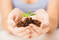 Hands with green sprout and ground