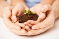 Hands with green sprout and ground