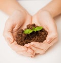 Hands with green sprout and ground