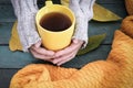 Hands in grey knitted sweater holding a yellow cup of tea among fall keaves, autumn concept Royalty Free Stock Photo