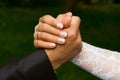 Hands of a groom and a bride Royalty Free Stock Photo