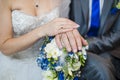 Hands of the groom and the bride with wedding rings Royalty Free Stock Photo