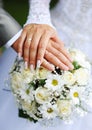 Hands of the groom and the bride with wedding rings and a wedding bouquet from roses Royalty Free Stock Photo