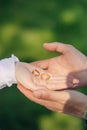 Hands of groom hold hand of bride with golden rings Royalty Free Stock Photo