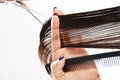 Hands of a hair stylist trimming hair with a comb and scissors Royalty Free Stock Photo