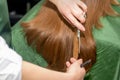 Hands of hairdresser cut woman long hair, close up. Royalty Free Stock Photo