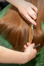 Hands of hairdresser cut woman long hair, close up. Royalty Free Stock Photo