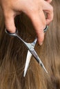 Hands of hairdresser cutting hair with scissors