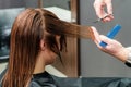 Hands of hairdresser cutting long hair of woman Royalty Free Stock Photo