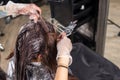 Hands of hairdresser thoroughly dyeing hair of female client using paintbrush Royalty Free Stock Photo