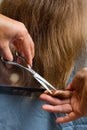 Hands of hairdresser trimming hair with scissors and comb Royalty Free Stock Photo