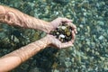Hands with handful of sea stones  under water Royalty Free Stock Photo