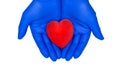 Hands and heart. Cardiology and heart disease concept. Hands of the doctor in blue gloves are holding red heart.