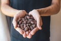 Hands hold cocoa beans