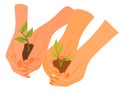 Hands hold the ground with plant sprouts. Happy Tu Bishvat.