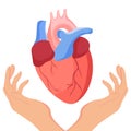 Human heart, hands, flat Royalty Free Stock Photo