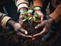 The hands hold a houseplant, a seedling with earth in the roots. The concept of supporting youth and beginnings