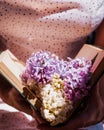 Hands hold an open book on which lies a branch of lilac, lilac flowers on the volume, Royalty Free Stock Photo