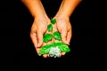 Hands hold Thai Jasmine flower Royalty Free Stock Photo