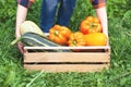 Hands hold a wooden box full of bright vegetables.