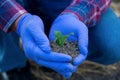 Hands hold a young plant with soil, a farmer holds a sprout in his hands, agronomist, eco products concept