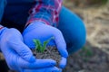 Hands hold a young plant with soil, a farmer holds a sprout in his hands, agronomist, eco products concept