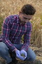 Hands hold a young plant with soil, a farmer holds a sprout in his hands, agronomist, eco products concept