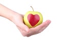 Hands holding apple Royalty Free Stock Photo