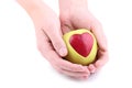 Hands holding apple Royalty Free Stock Photo