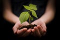 Ruky držanie dieťa rastlina alebo rast a rozvoj 