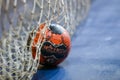 Hands holding a ball prior to the Greek Women Cup