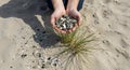 Hands Holding Beach Plastic Pollution Royalty Free Stock Photo