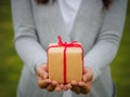 Hands holding beautiful gift box, female giving gift