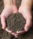 Hands holding black soil. Close-up Royalty Free Stock Photo