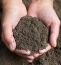 Hands holding black soil. Close-up Royalty Free Stock Photo