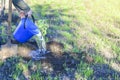 Hands holding a blue bucket of water and watering an apple tree. Woman watering apple tree. With a blue bucket Royalty Free Stock Photo