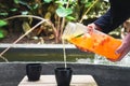 Hands holding bottle with fresh homemade juice made of oranges, watermelon, lime and pouring into a cup Royalty Free Stock Photo