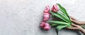 Hands holding bouquet of pink tulips flowers on white stone background. Card for Mothers day, 8 March, Happy Easter Royalty Free Stock Photo