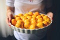 Hands holding bowl withfresh mandarines