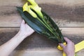 Hands holding calla lilies Royalty Free Stock Photo
