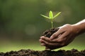 Hands holding and caring a green young plant