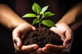 Hands holding and caring young plant with soil. Earth day concept.