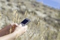Hands Holding Cell Phone in Wheat Field