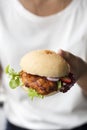 Hands holding chicken burger Royalty Free Stock Photo