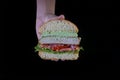 Hands holding a chicken burger with lettuce, tomato, purpple onion and handmade mayo on wood backgorund. Delicious Royalty Free Stock Photo