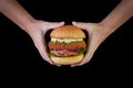 Hands holding a chicken burger with lettuce, tomato, purpple onion and handmade mayo on wood backgorund. Delicious Royalty Free Stock Photo