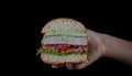 Hands holding a chicken burger with lettuce, tomato, purpple onion and handmade mayo on wood backgorund. Delicious Royalty Free Stock Photo