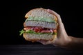 Hands holding a chicken burger with lettuce, tomato, purpple onion and handmade mayo on wood backgorund. Delicious Royalty Free Stock Photo